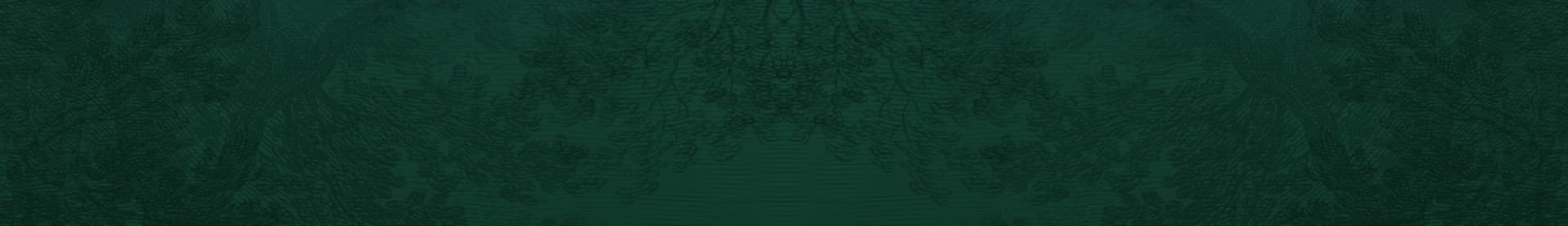 Navigation background