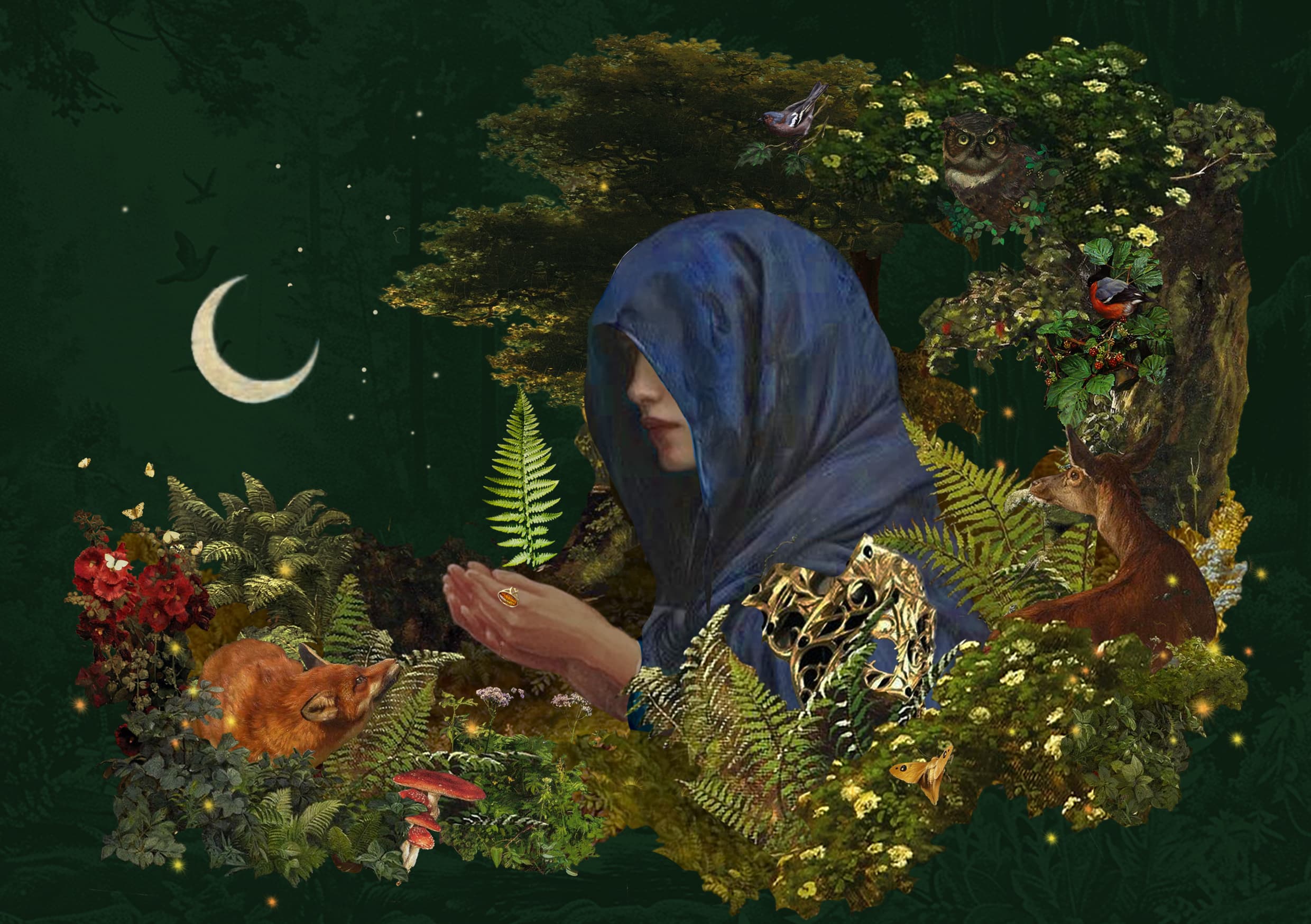 Sekcja wideo na stronie glownej